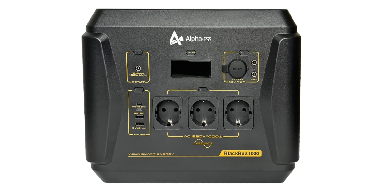 BlackBee 1000W złącza i wejścia