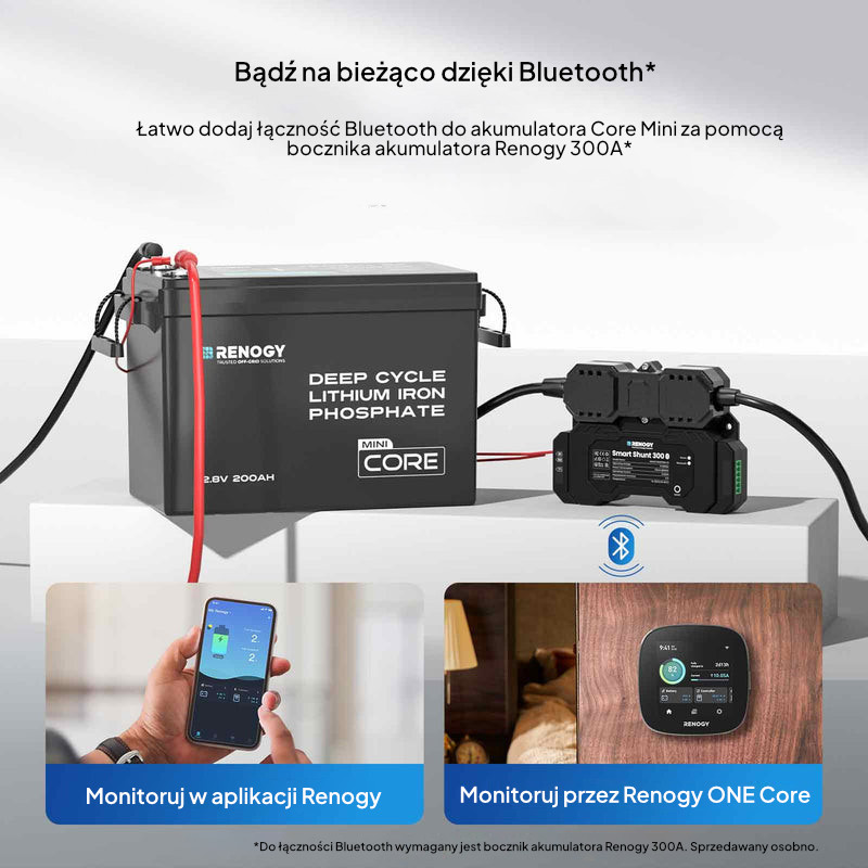 Akumulator Renogy Core Mini 12V 200Ah LiFePO₄